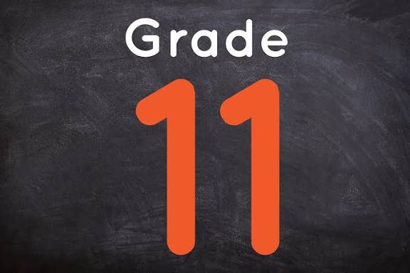 Grade 11
